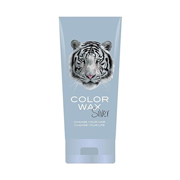 Pure Smile ピュアスマイル ヘアカラーワックス Mote Wax モテワックス Silver シルバー 無香料 エタノール Iestpsausa Edu Pe