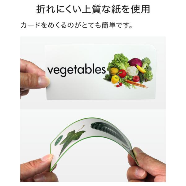 英語 フラッシュカード 750枚セット 送料無料 子供 幼児 英語教材 英単語 おもちゃ カード 知育玩具 幼児英語 子供英語 小学生 英語カード Buyee Buyee 提供一站式最全面最專業現地yahoo Japan拍賣代bid代拍代購服務 Bot Online