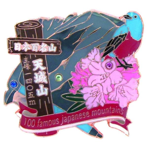 クリィミーマミ　ピンズコレクション　ピンズ　ピンバッジ　香港 ご当地ピンズ 設置場所 クリィミーマミ ピンズコレクションBBT