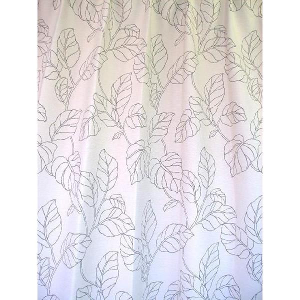 ՌJ[e@pAC{[@@100xRV cm@ډBZ@1̂