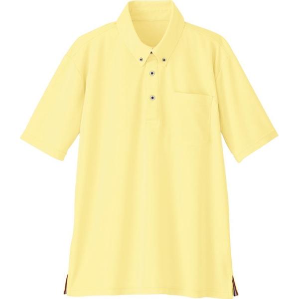 y݌Ɍzd WHISeL BD|Vc jp WH90418 CgCG[