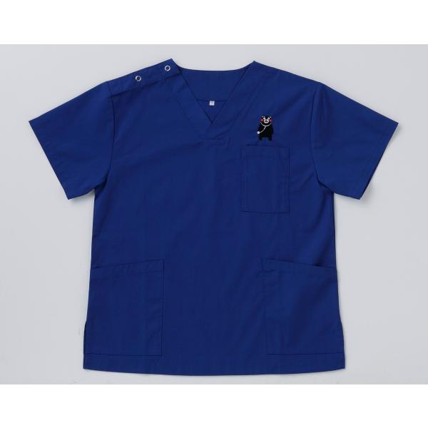 �X�N���u ��� ���� D-PHASE �j�����p�X�N���u DS-2001K ���C�����u���[ SS�`3L (���[�J�[����)