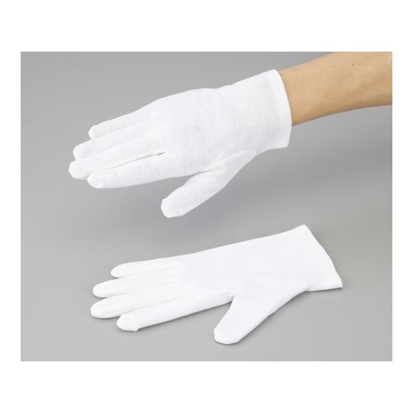 AY AYsA ȃXX }`t 12o M (1-548-03)