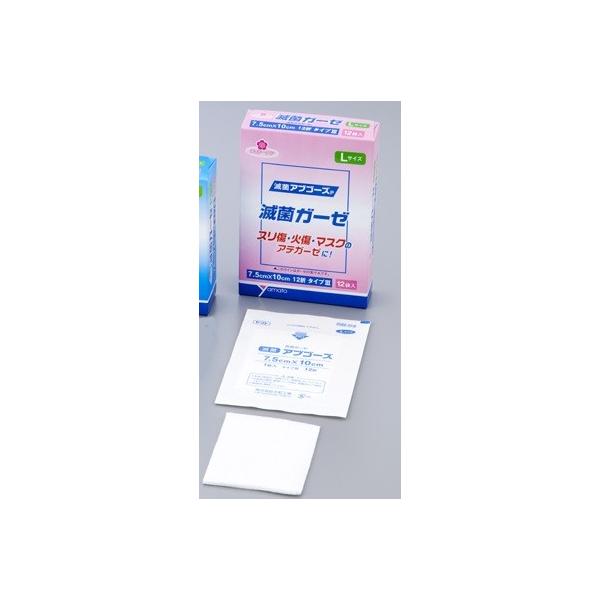 }g ŋۃK[[ AuS[YP L 305022 1(1/×12ܓ)