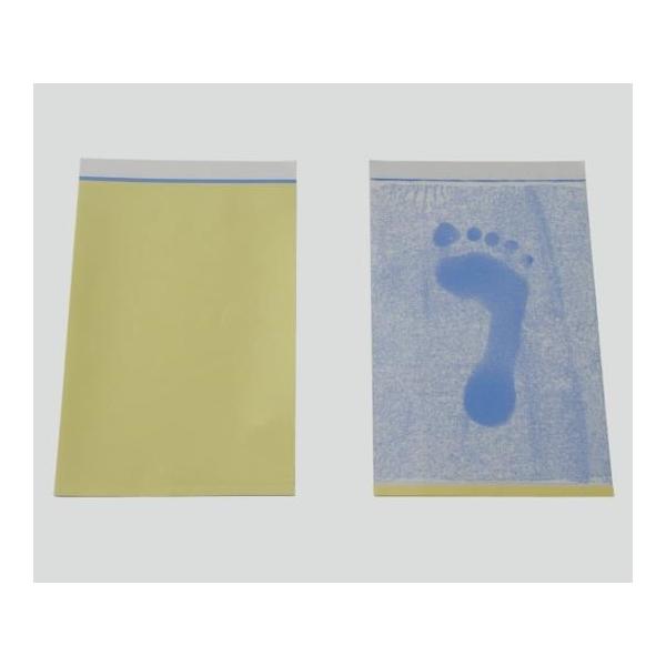 H CNXEtbgv^[ 1Zbg(10) FTP (8-6308-01)