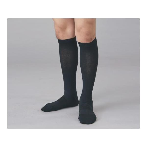 hN^[p\bNX ƃ\[Vjp 27-29CM  (8-6585-02)