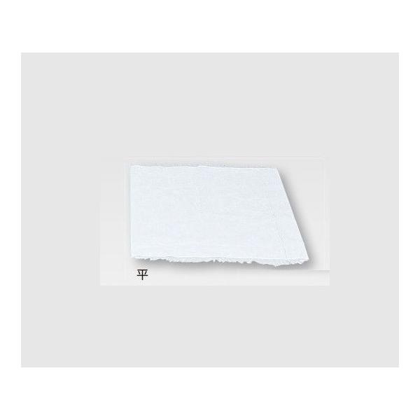 ���}�g �K�[�[ �� 300×300mm 300���� 226341 (8-7685-01)