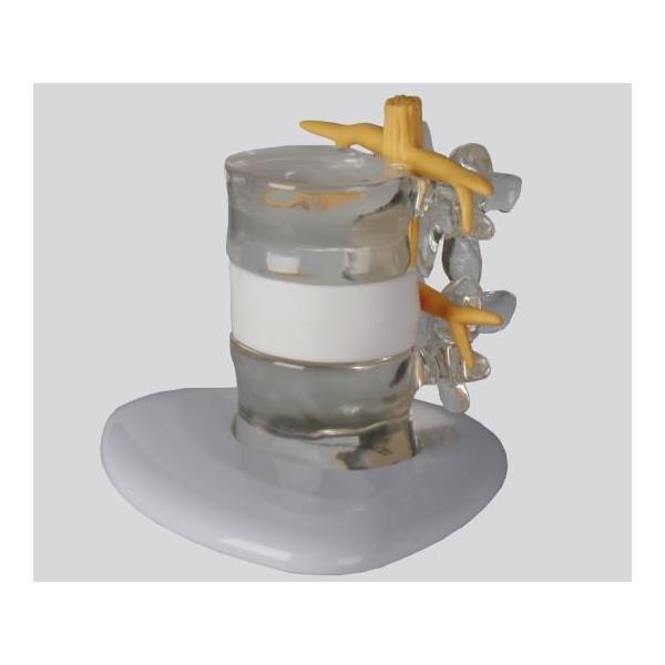 AY irX wjAf190×160×140@ 4400 X^ht (8-8422-01)