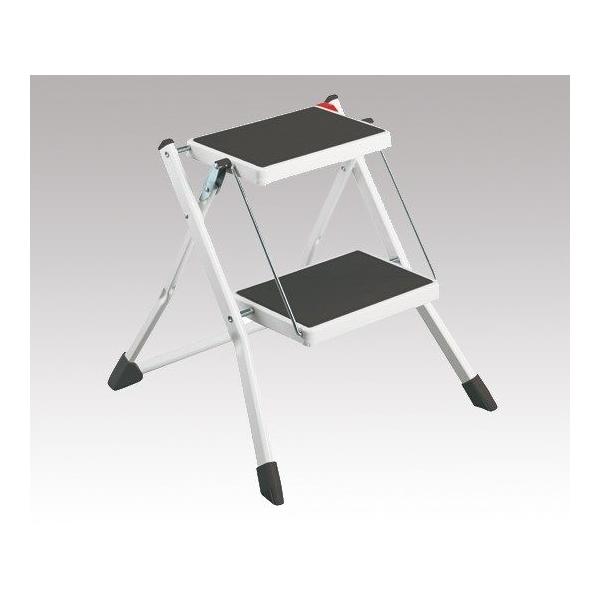 ܂肽ݎݑ 2i ~j{[C 60000 (8-8833-01)