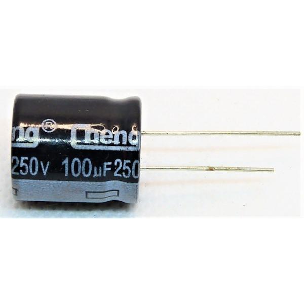 eisei-trading2019_denkai-250v100uf