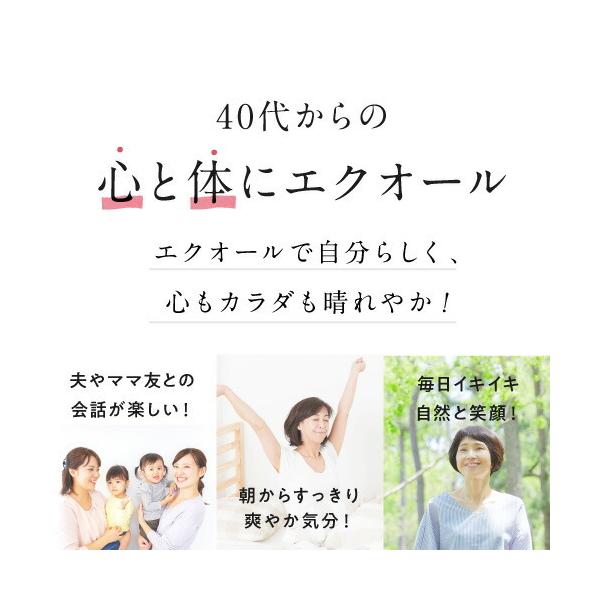 エクオール ラクトビオン酸 90粒 正規販売店 Buyee Buyee Japanese Proxy Service Buy From Japan Bot Online