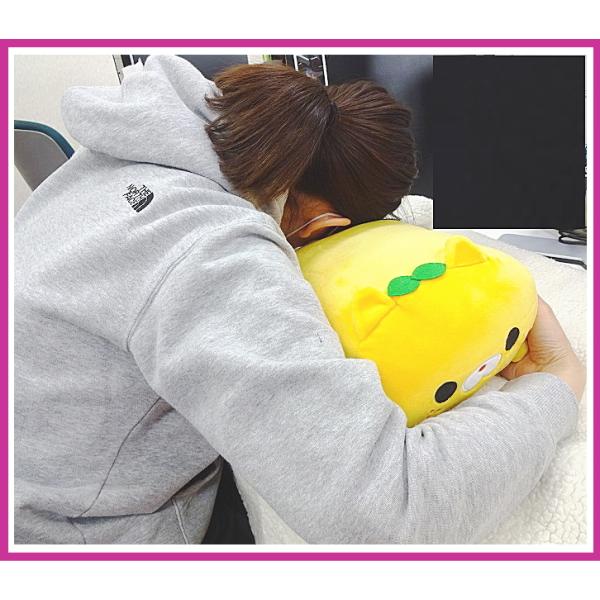 ましゅマルぱーく ぬいぐるみ 柴犬 イヌ ふわふわ もふもふ クッション 抱き枕 Buyee 日本代购平台 产品购物网站大全 Buyee一站式代购 Bot Online