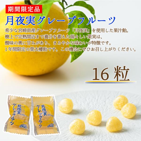 eitaro_1063584_3_d_20251127174857