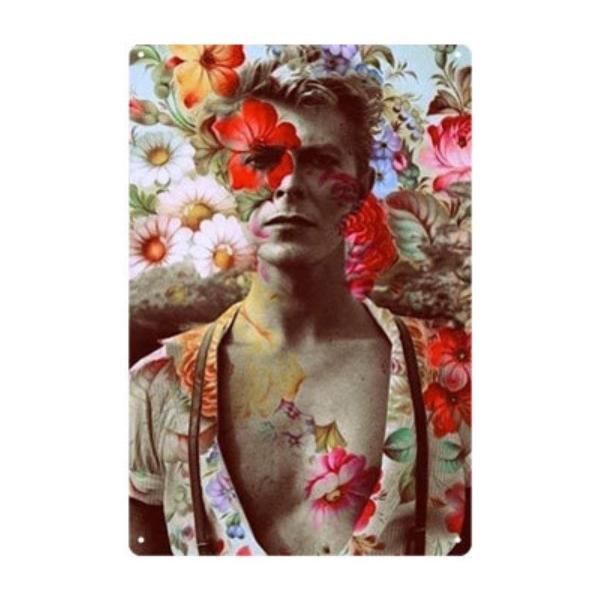 デヴィッド・ボウイ David Bowie　歌手　シンガーソングライター　アメリカ雑貨★レトロ調★ブリキ看板/飾り/バー/レストラン/カフェ 20x30cm