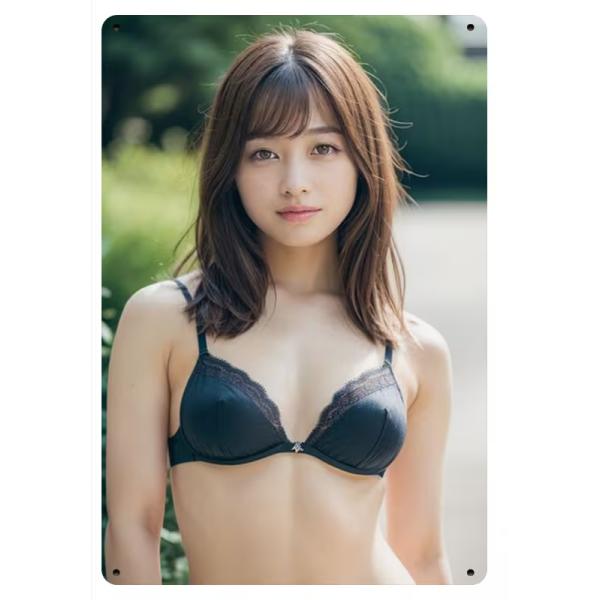 美少女  黒下着　金属飾り物　 メタルサイン  ブリキ看板　　インテリア雑貨　 　20cmx30cm