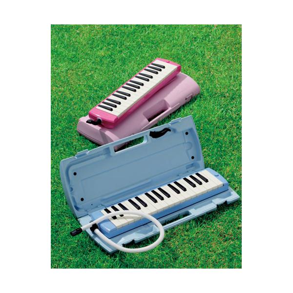 Ճn[jJ sAjJ F  - fƉ̗F