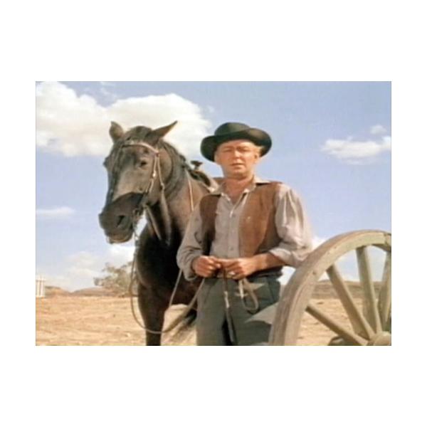 荒野に生きる 誇り高き男たちの闘い