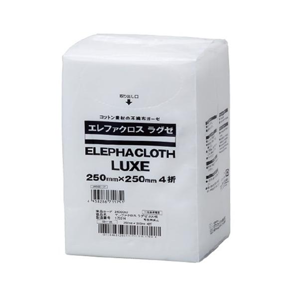 nN]EfBJЁ@Gt@NX@O[yݑŌEpiفz