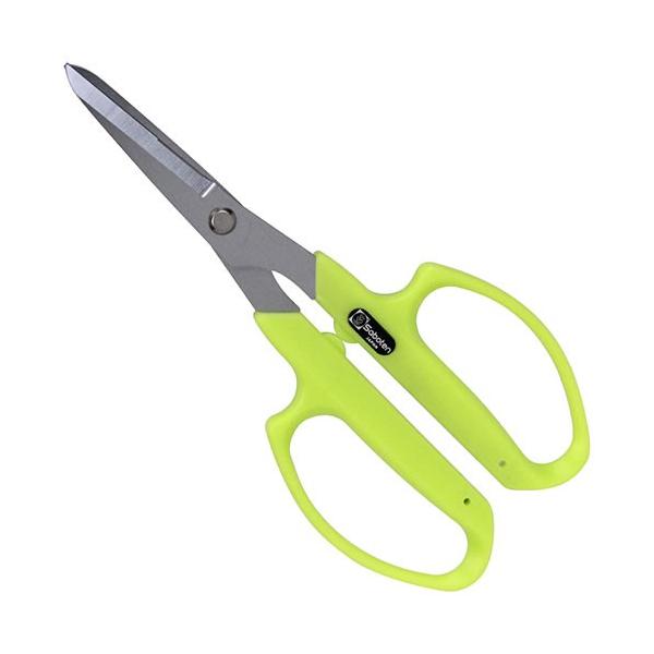 T{e@VCJbgvXO[ypHE|piفz