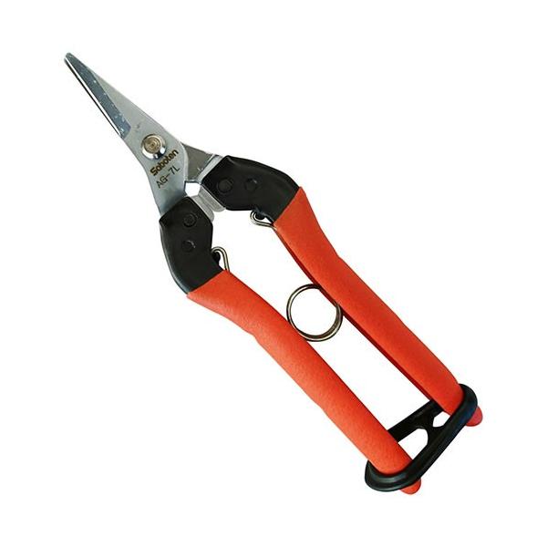 T{e@ՌzE[pypHE|piفz