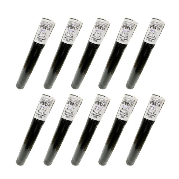 y10{ZbgzƖphP 24bV ubN30M×10{ Ԍ˒ւlbg 񂹏i  0400100003329