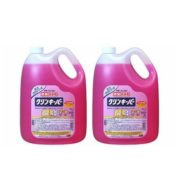 y2Zbgzԉ NL[p[ Ɩp 5k P[X Q 