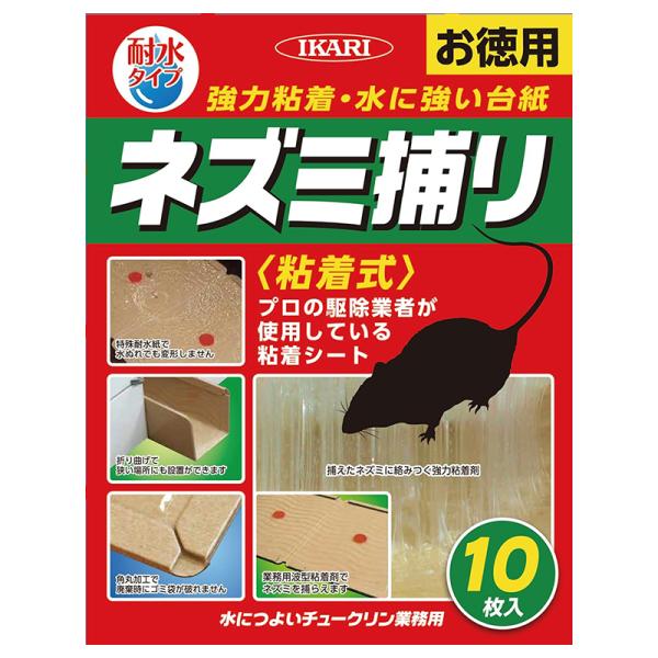 プロの駆除業者が使用している粘着シート