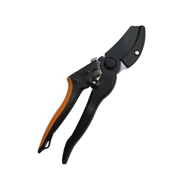 i OXt@Co[Ar^ [֑Ήi2܂Łj 4939736701324