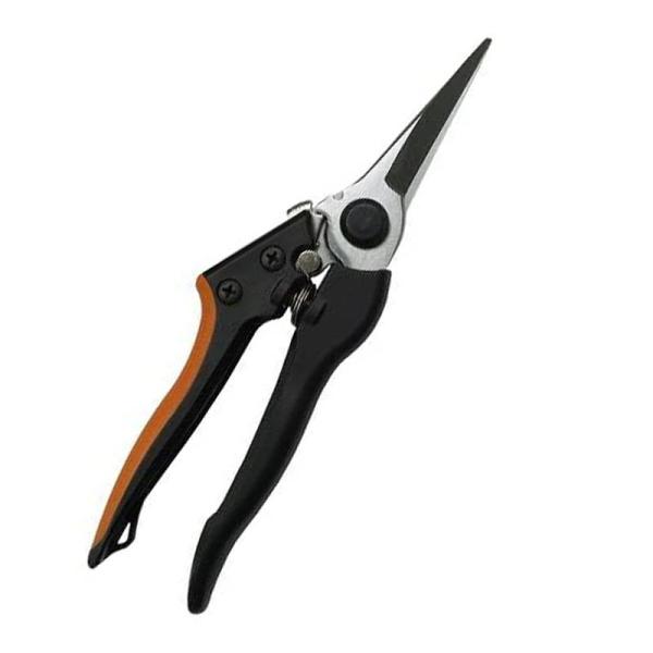 i OXt@Co[  [֑Ήi2܂Łj 4939736701331