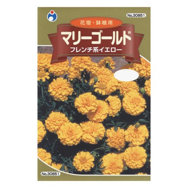 種 マリーゴールドの人気商品 通販 価格比較 価格 Com