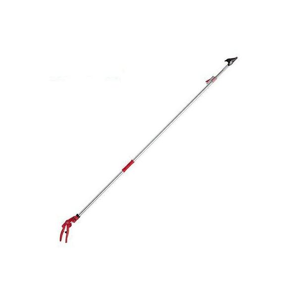 CgY[ 150Z-3.0-5D   AXR[|[V