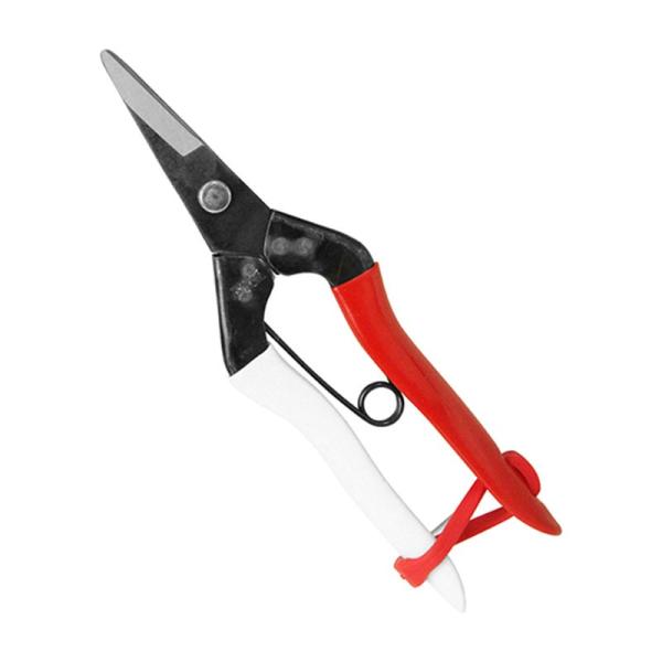 P E BP 307B [֑Ήi2܂Łj 4968779307019 yGSz