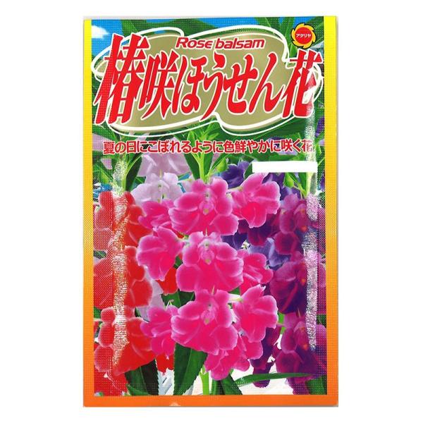 椿 種 Diy 工具の人気商品 通販 価格比較 価格 Com
