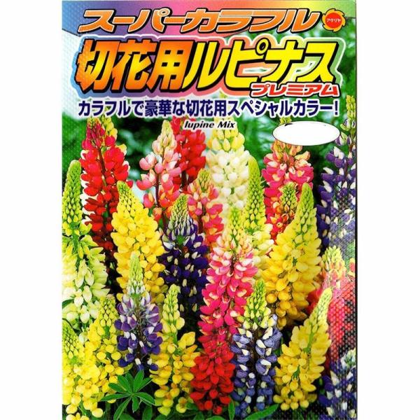 苗 ルピナスの人気商品 通販 価格比較 価格 Com