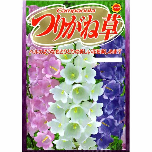苗 カンパニュラ 種の人気商品 通販 価格比較 価格 Com