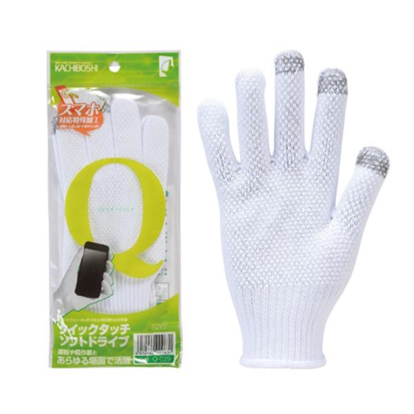 Y NCbN^b` \tghCu M Q-029 [֑Ήi2܂Łj 4972966009624