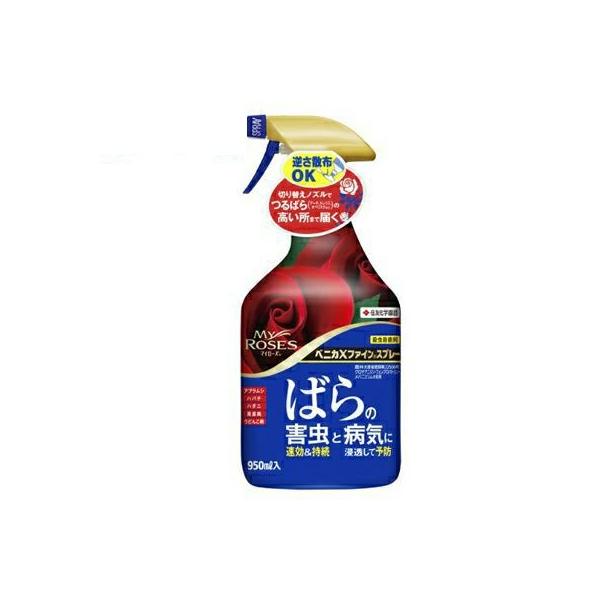 xjJXt@CXv[ 950ml  ZFw|