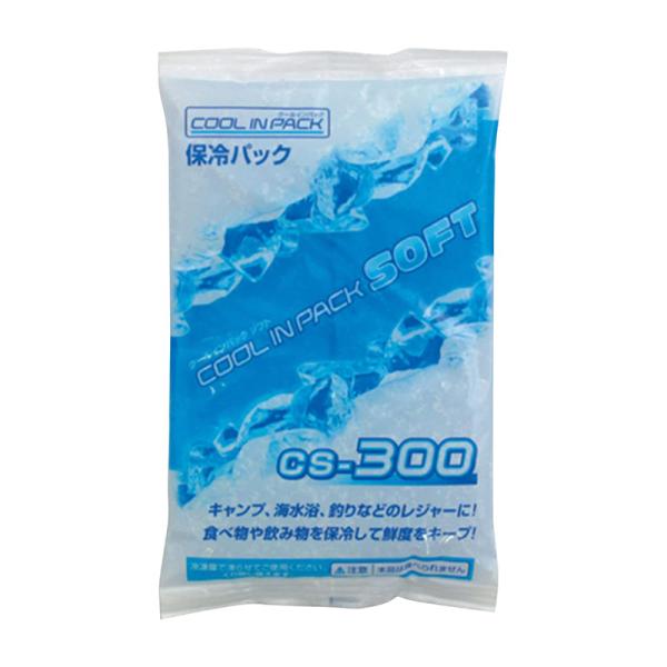 JEJアステージ クールインパックソフト 300g CS-300 ソフトタイプ メール便対応（2個まで） 4991068144248
