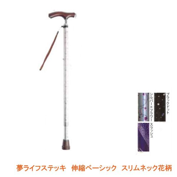  CtXebL@Lkx[VbN@XlbNԕ pi