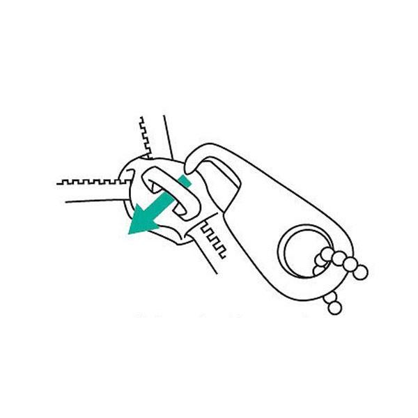 (s) pȂptbNL[̂݁i21gjۏ pi