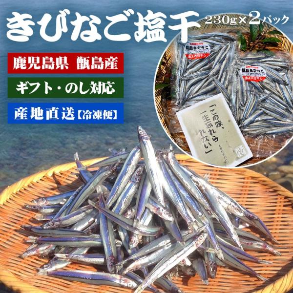 鹿児島県産 甑島のきびなご天日干し 230g 2袋 無添加 塩干 干物 キビナゴ 冷凍 鹿児島県 母の日 職場 同僚 取引先 産地直送 お取り寄せ ギフト 贈り物 送料無料