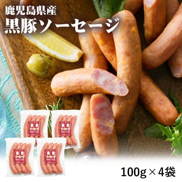 鹿児島県産 黒豚ソーセージ 100g 4袋 生ハム オードブル ビール 鹿児島県 敬老の日 産地直送 お取り寄せ ギフト プレゼント 贈り物