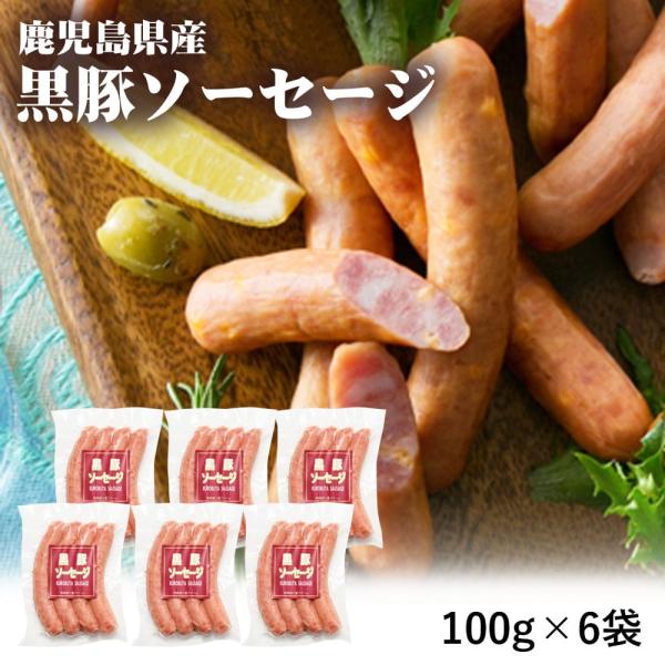 鹿児島県産 黒豚ソーセージ 100g 6袋 生ハム オードブル ビール 鹿児島県 敬老の日 産地直送 お取り寄せ ギフト プレゼント 贈り物