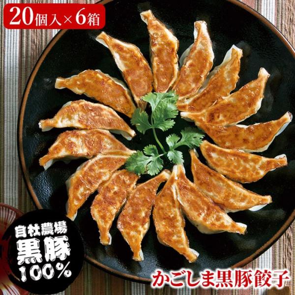 国産 かごしま黒豚餃子 400g(200g×2パック入り) 20個入り 6箱 鹿児島県産 お取り寄せ 鹿児島県 敬老の日 産地直送 お取り寄せ 贈り物