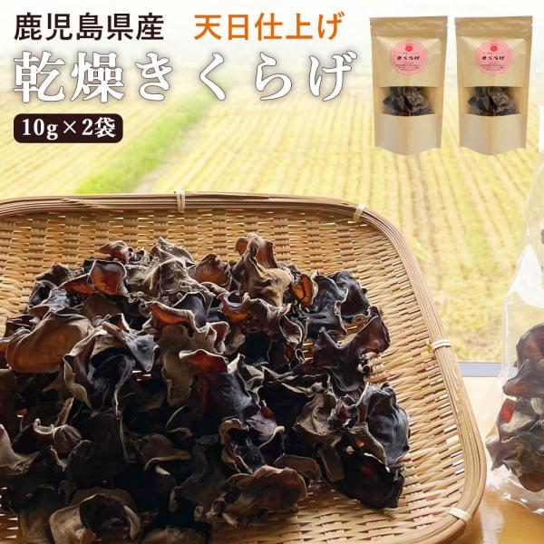 商品情報商品名：国産きくらげ 乾燥キクラゲ 10g×2袋原材料名：きくらげ(菌床)原材料産地名：鹿児島県薩摩川内市内容量：10g ×2袋賞味期限：製造から半年保存方法：高温多湿を避けて保存して下さい製造者：わか農園 株式会社エムズ  鹿児島...