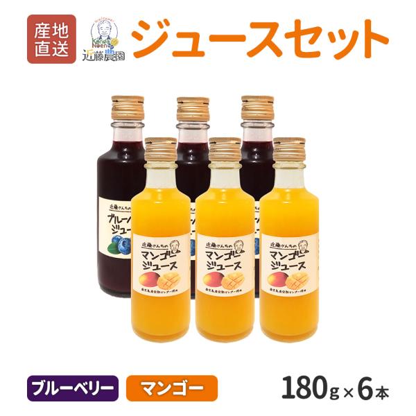 鹿児島県産 フルーツジュース 180g 6本セット ブルーベリー マンゴー 詰め合わせ 国産 産地直送 ギフト プレゼント 贈り物 送料無料