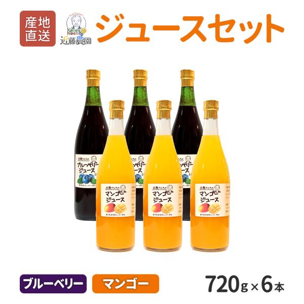 鹿児島県産 フルーツジュース セット 720g 計 6本 詰め合わせ マンゴージュース 産地直送 お取り寄せ ギフト プレゼント 贈り物 送料無料