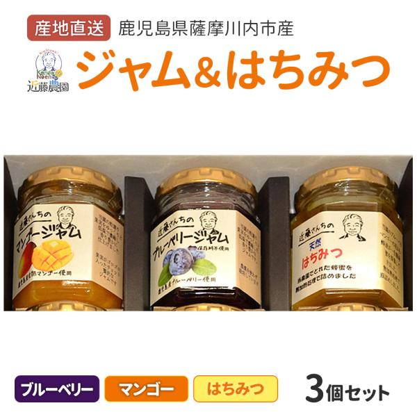 鹿児島県産 はちみつ&フルーツジャム (ブルーベリー・マンゴー) セット 計3個  詰め合わせ 蜂蜜 鹿児島県 ハロウィン 産地直送 お取り寄せ ギフト