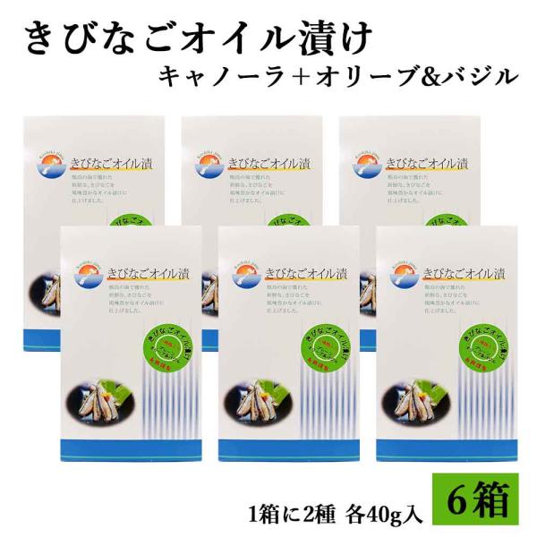きびなごオイル漬け2種類箱入り(キャノーラ40g+オリーブ&バジル40g)各1袋入り×6箱 オイルサーディン 珍味 鹿児島県 ハロウィン 贈り物