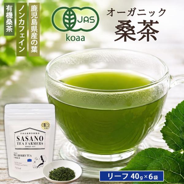 無農薬 オーガニック 有機 毎日桑茶  (リーフ)40g 6袋 国産 ネコポス 有機栽培 ノンカフェイン 鹿児島県 敬老の日 お取り寄せ 贈り物